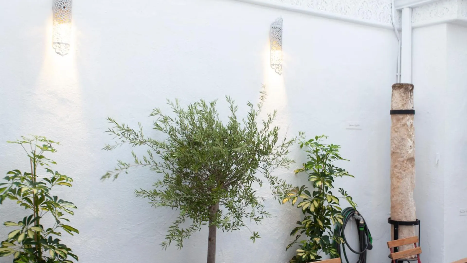 Altabib Riad Cordoue